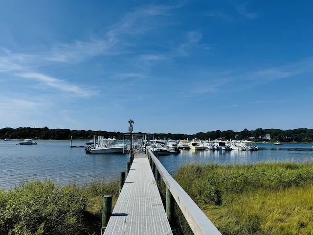 dock area featuring a water view