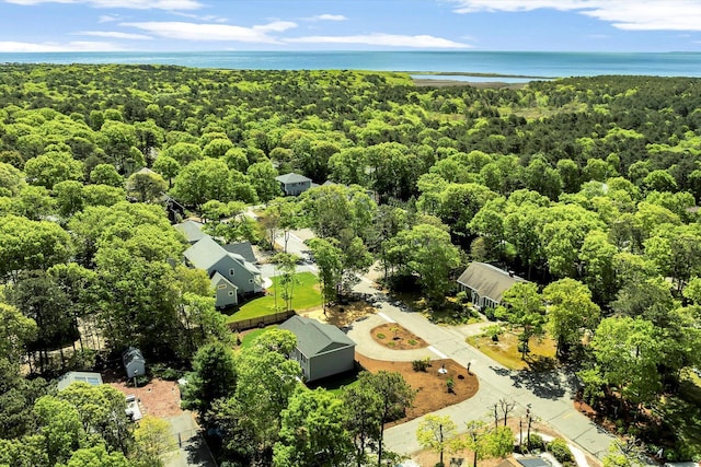 39 Nehoiden Rd, Mashpee, MA 02649 - aerial view of a forest and a nearby body of water