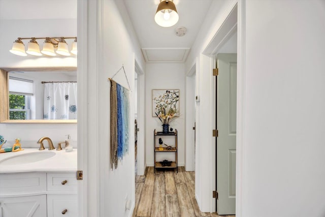 39 Nehoiden Rd, Mashpee, MA 02649 - corridor featuring light wood-style flooring and a sink