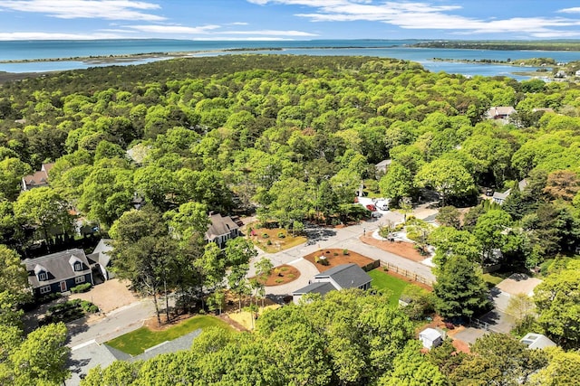 39 Nehoiden Rd, Mashpee, MA 02649 - drone / aerial view of a heavily wooded area and a large body of water