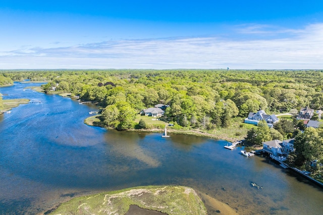 818 S Main St, Centerville, MA 02632 - bird's eye view of a forest and a nearby body of water
