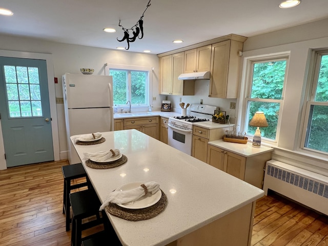 27 Long View Dr, Orleans, MA 02653 - kitchen featuring white appliances, under cabinet range hood, radiator heating unit, a sink, and light countertops