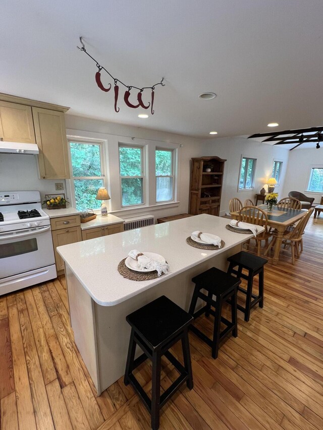27 Long View Dr, Orleans, MA 02653 - kitchen with white gas stove, radiator heating unit, light countertops, plenty of natural light, and recessed lighting