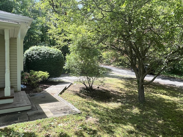 27 Long View Dr, Orleans, MA 02653 - view of yard