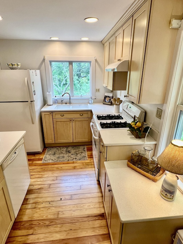 27 Long View Dr, Orleans, MA 02653 - kitchen featuring white appliances, under cabinet range hood, light countertops, light wood-style flooring, and a sink