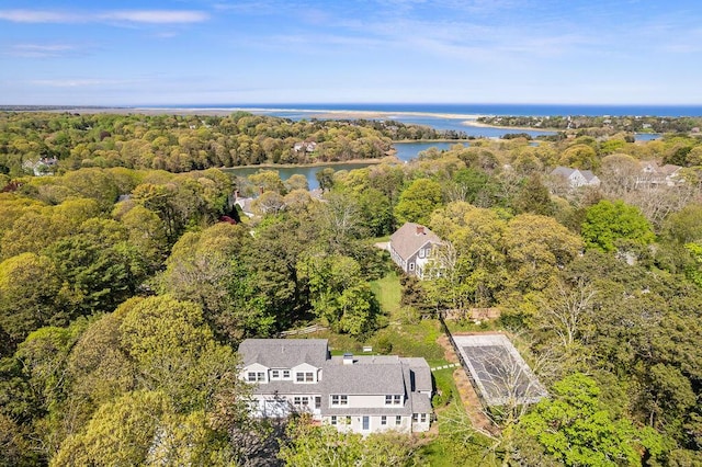 2 Little Cove Ln, Orleans, MA 02653 - aerial view of a forest and a large body of water