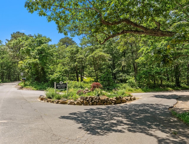 23 Crowell Ln, Tisbury, MA 02568 - view of asphalt street