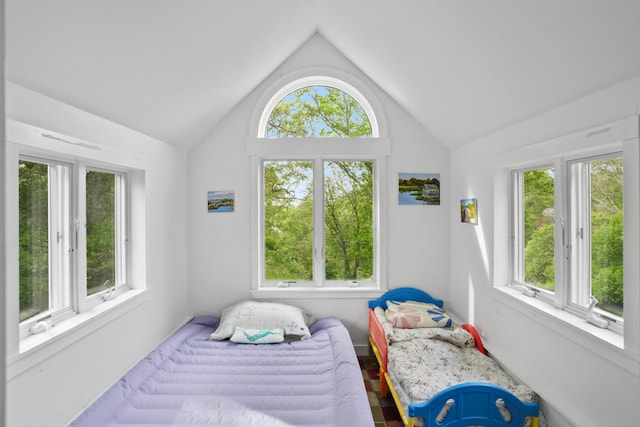 20 James Pond Way, West Tisbury, MA 02575 - bedroom with multiple windows and vaulted ceiling