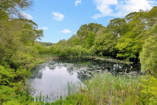 20 James Pond Way, West Tisbury, MA 02575 - water view featuring a forest
