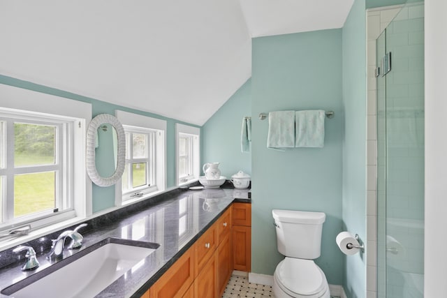20 James Pond Way, West Tisbury, MA 02575 - bathroom with healthy amount of natural light, toilet, a shower stall, vanity, and vaulted ceiling