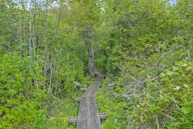 20 James Pond Way, West Tisbury, MA 02575 - view of nature