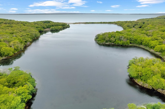 20 James Pond Way, West Tisbury, MA 02575 - bird's eye view of a nearby body of water and a forest