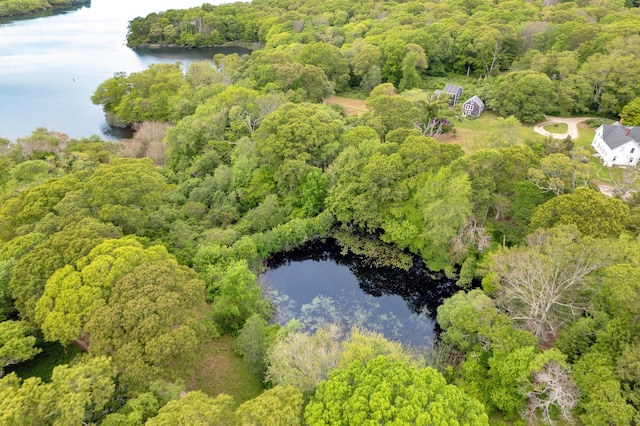 20 James Pond Way, West Tisbury, MA 02575 - aerial view of property and surrounding area featuring a forest and a nearby body of water