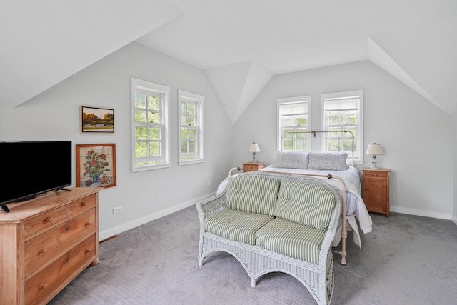 20 James Pond Way, West Tisbury, MA 02575 - bedroom with carpet floors, multiple windows, vaulted ceiling, and baseboards