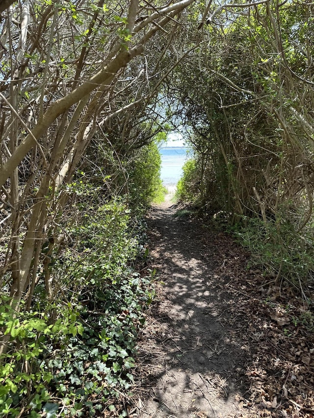 33 Island View Rd, Hyannis, MA 02601 - view of nature