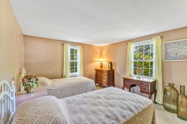 33 Swift Brook Rd, South Yarmouth, MA 02664 - bedroom featuring a textured ceiling and light carpet