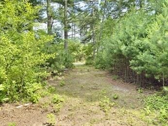 37 Washington Park, Carver, MA 02330 - view of local wilderness