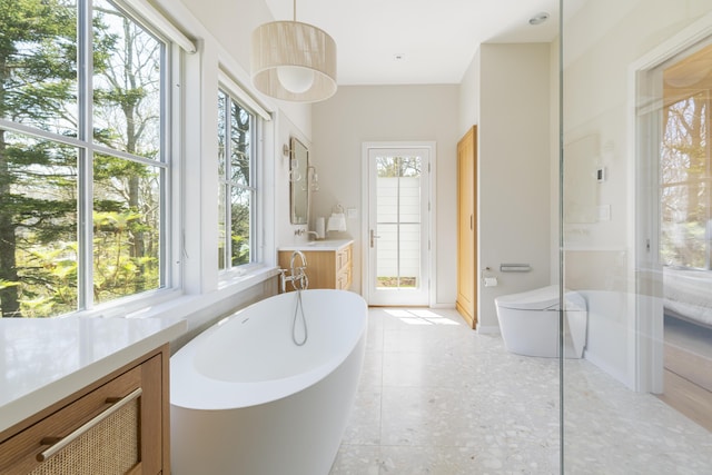 bathroom with a washtub, toilet, and vanity