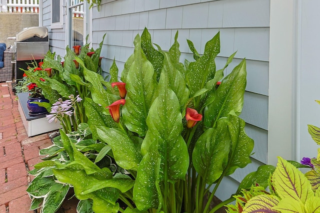 9 Dyer St Unit Ud, Provincetown, MA 02657 - photo 16