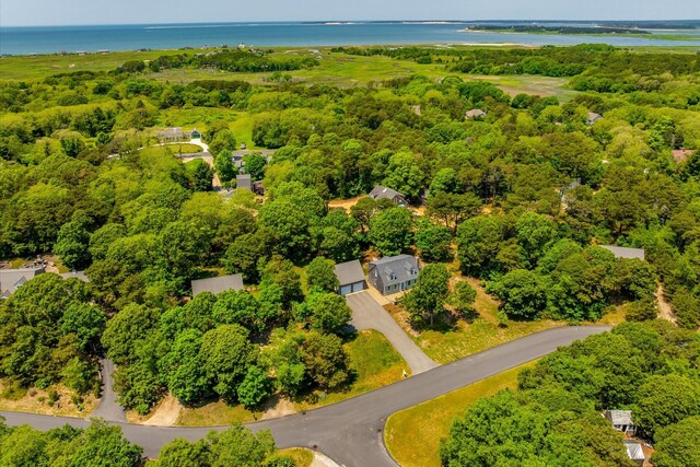 26 Sandy Meadow Way, Eastham, MA 02642 - aerial view of a large body of water and a heavily wooded area