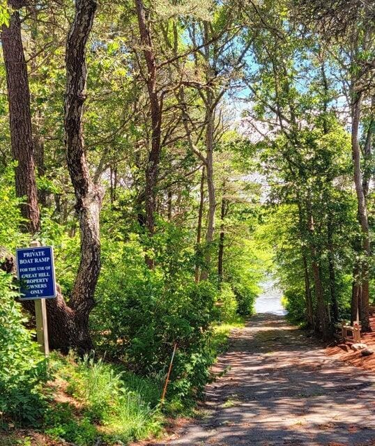 view of street featuring a wooded view