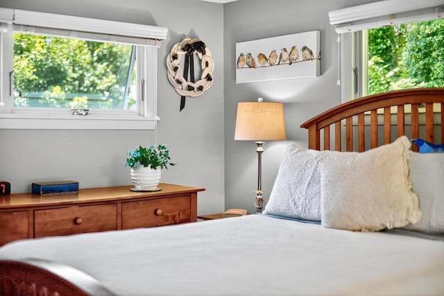 18 Seaview Rd, Sagamore Beach, MA 02562 - photo 39
