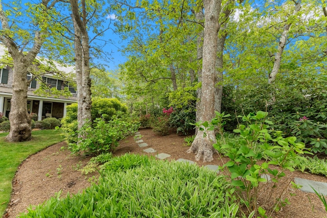5 Bayes Hill Cir, Oak Bluffs, MA 02557 - view of yard