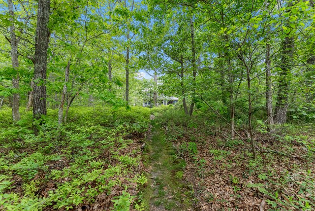 5 Bayes Hill Cir, Oak Bluffs, MA 02557 - view of tree filled area