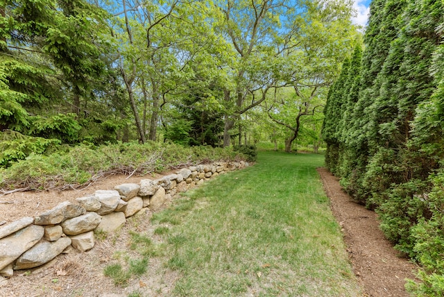 5 Bayes Hill Cir, Oak Bluffs, MA 02557 - view of green lawn