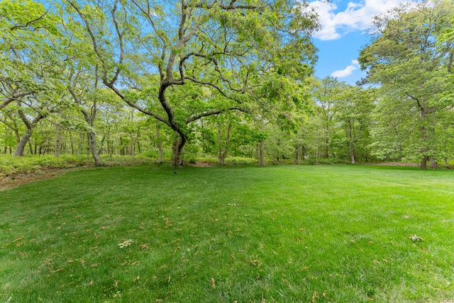 5 Bayes Hill Cir, Oak Bluffs, MA 02557 - view of green lawn