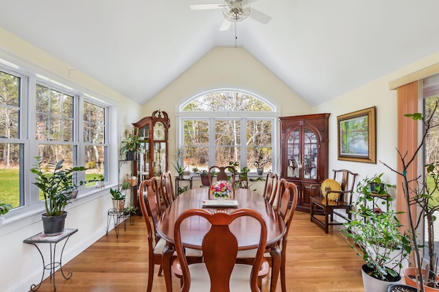 dining room with light wood-type flooring, vaulted ceiling, baseboards, and ceiling fan