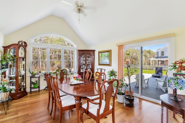 dining space with light wood-style flooring, ceiling fan, and high vaulted ceiling