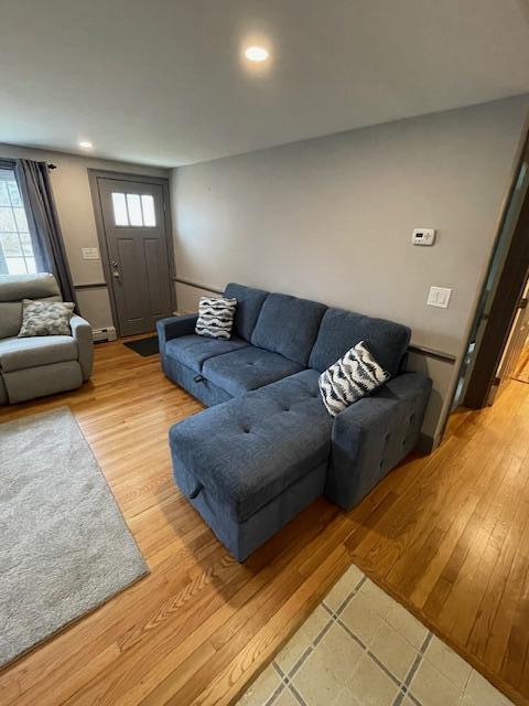 living room with light wood-type flooring