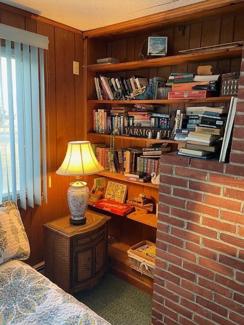 interior space with wood walls