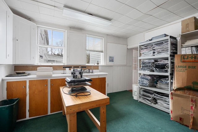 kitchen with white cabinetry, dark colored carpet, and sink