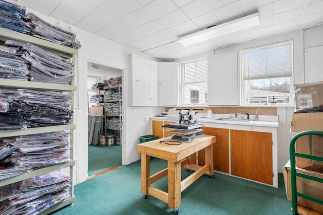 kitchen with white cabinetry, carpet flooring, and sink