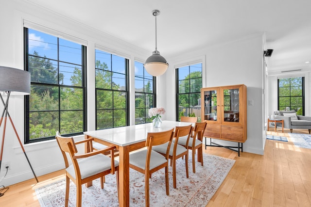 350 Bradford St Unit U5, Provincetown, MA 02657 - dining space with light wood-type flooring, crown molding, and baseboards