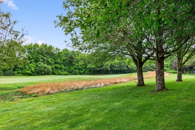 87 Susanna Dr, Brewster, MA 02631 - view of green lawn featuring view of wooded area
