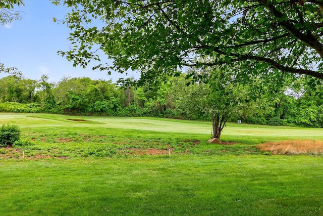 87 Susanna Dr, Brewster, MA 02631 - view of property's community with view of golf course, a lawn, and view of wooded area