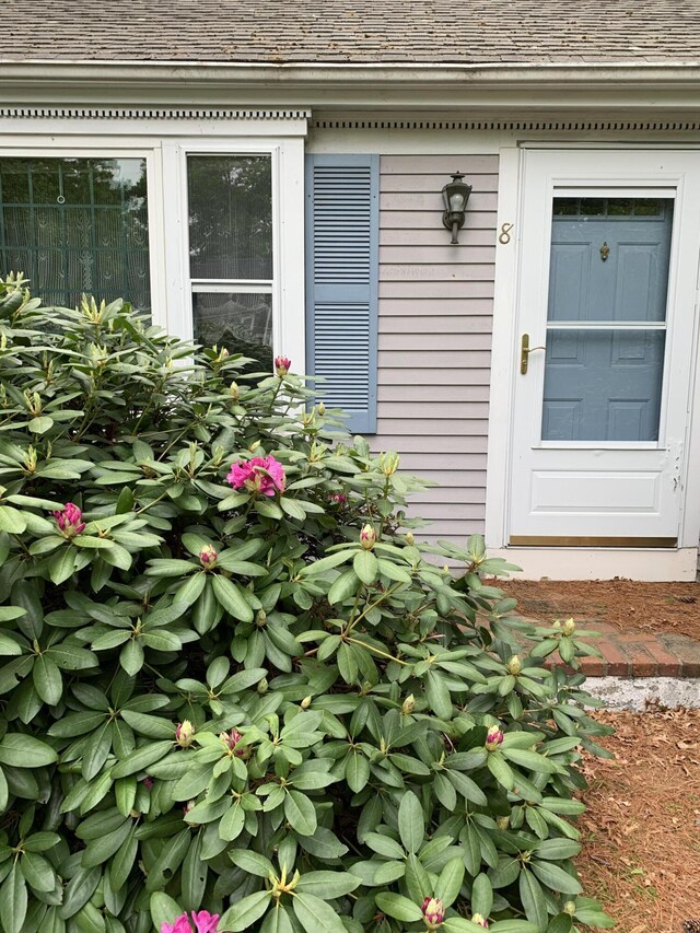 8 Holiday Ln, Sandwich, MA 02563 - photo 19