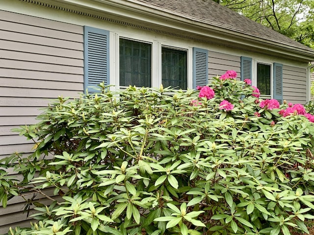 8 Holiday Ln, Sandwich, MA 02563 - photo 21