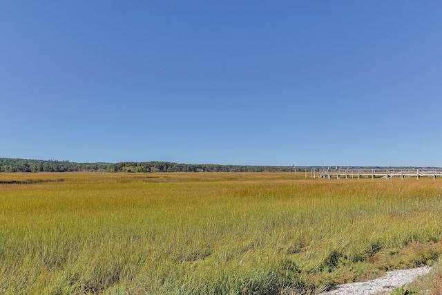 view of local wilderness featuring a rural view