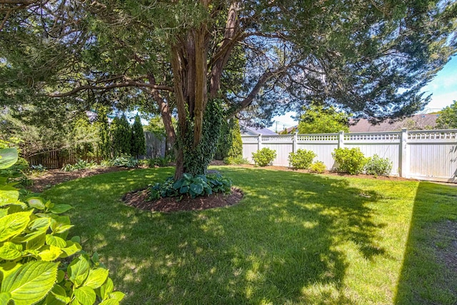 8 S St, Dennis Port, MA 02639 - photo 46