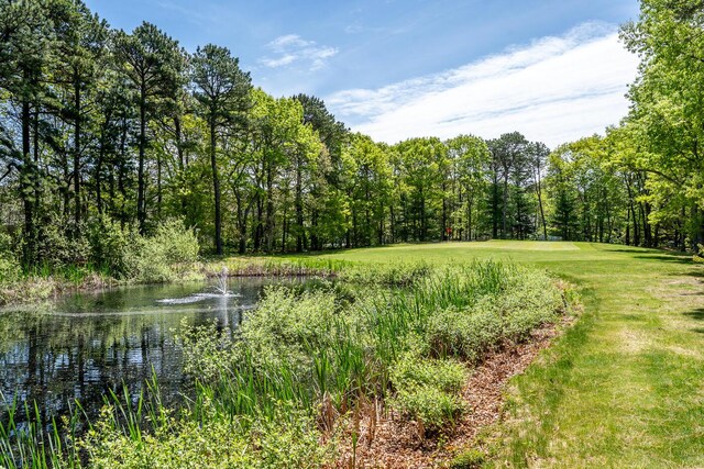 19 Longwood Rd, Mashpee, MA 02649 - view of local wilderness featuring a nearby body of water