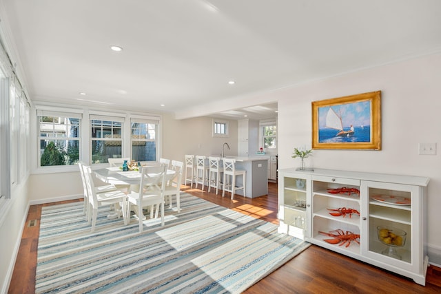 dining space with wood-type flooring, sink, and a wealth of natural light