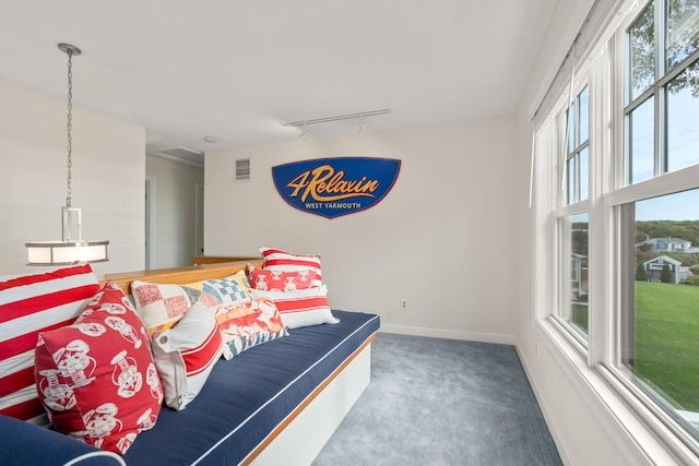 bedroom featuring track lighting and carpet flooring