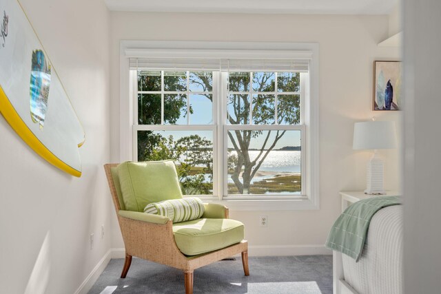 sitting room with carpet flooring