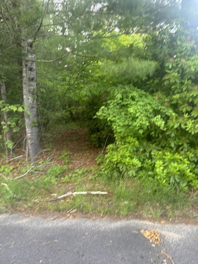 37 Ships Rudder Dr, Mashpee, MA 02649 - photo 5