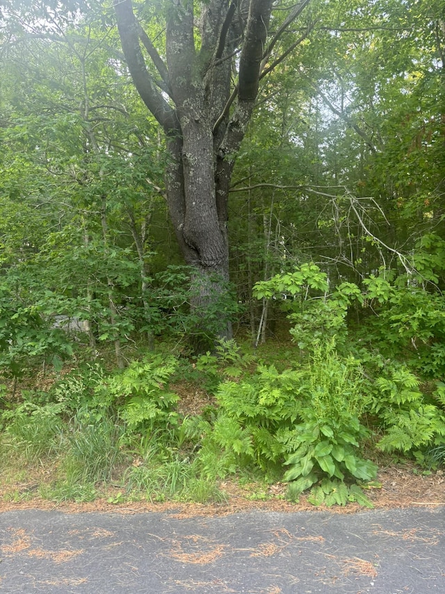 37 Ships Rudder Dr, Mashpee, MA 02649 - photo 3