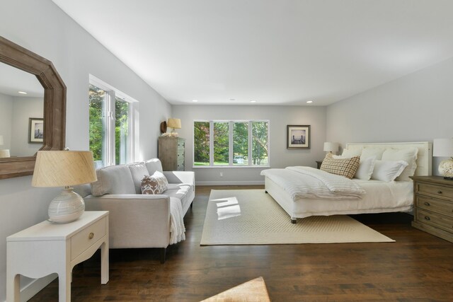 bedroom featuring dark hardwood / wood-style floors and multiple windows